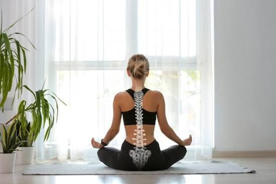 Holistic Health Consultant Near St. Petersburg Fl